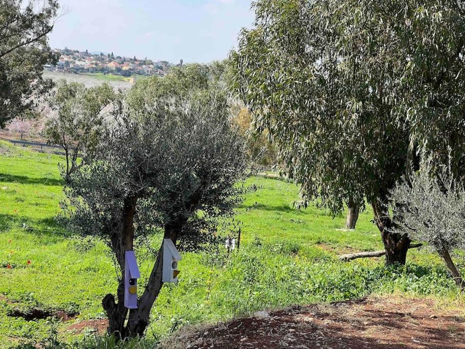 אחוזת היניבים Yaniv Estate Villa Nurit Exteriör bild
